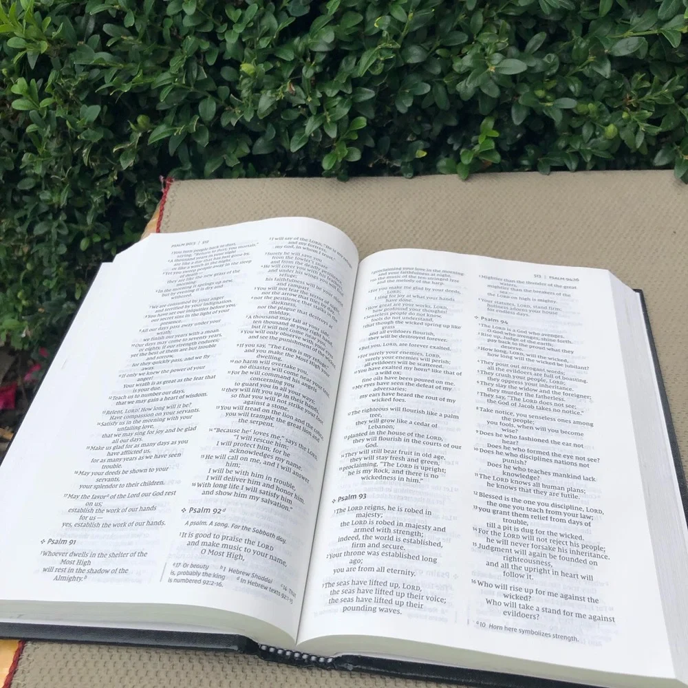 Holy Bible New International Version by Zondervan 2011